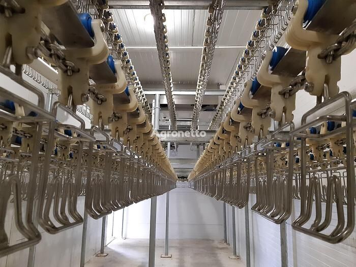 Gunther GmbH poultry slaughter line with chilling system equipamiento avícola